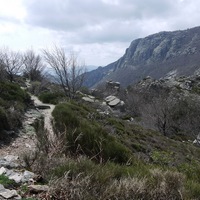 Photo de france - La randonnée du Mont Caroux